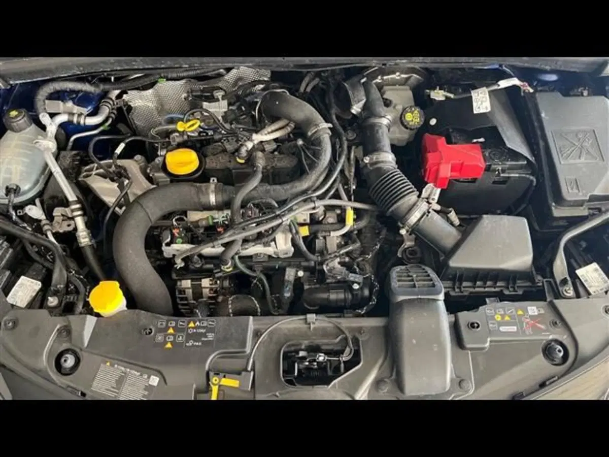 Renault Clio usata a Firenze (14)