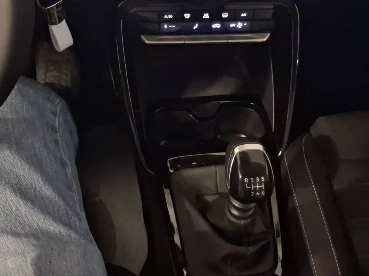Citroen C3 usata a Genova (16)