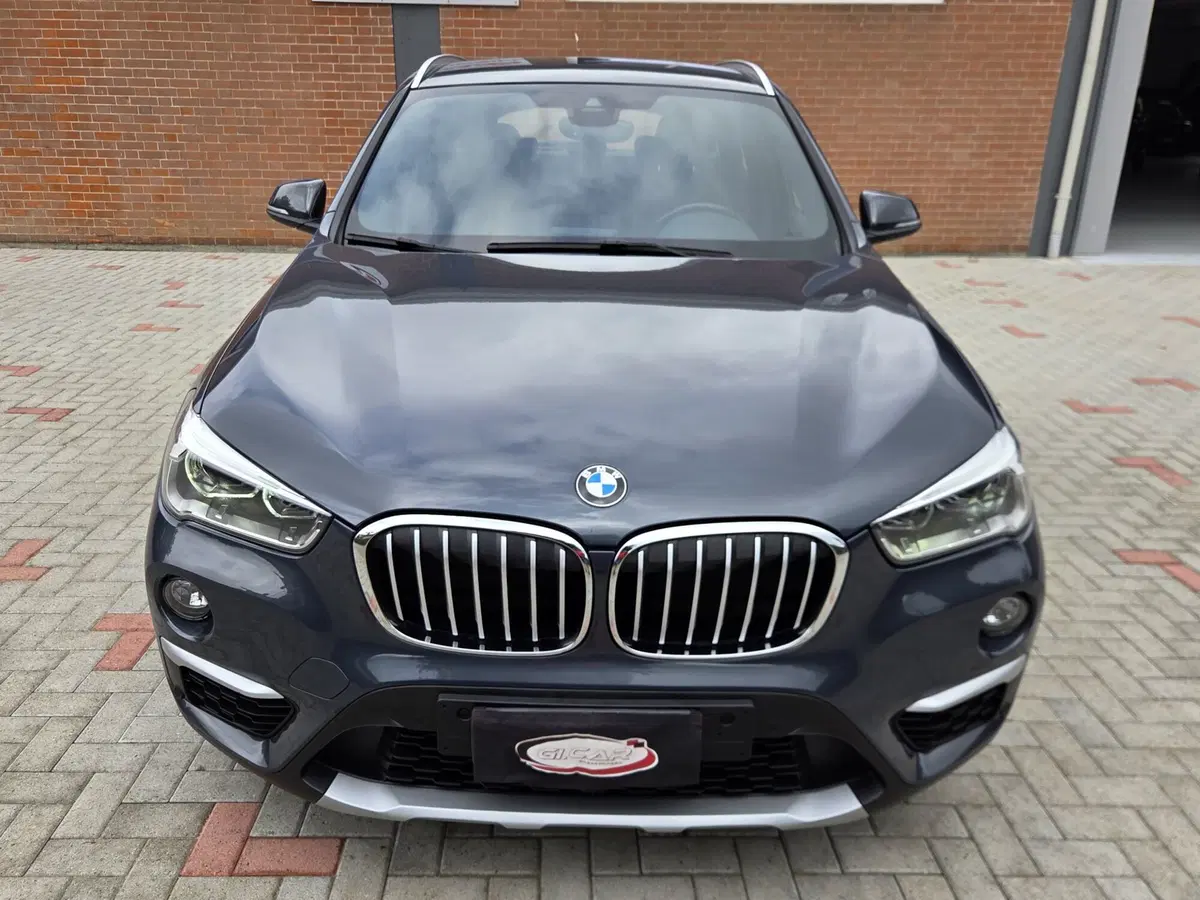 BMW X1 usata a Torino (5)