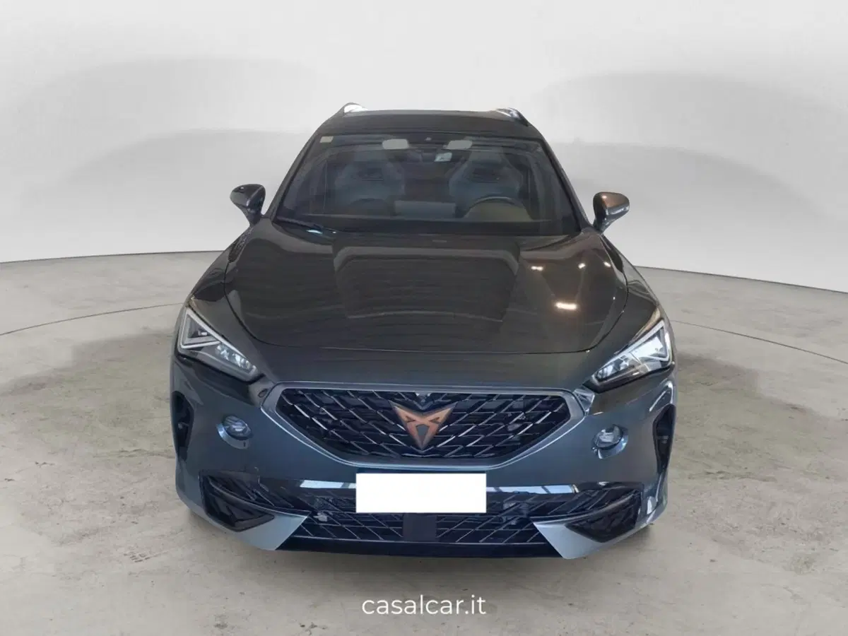 Cupra Formentor usata a Salerno (2)