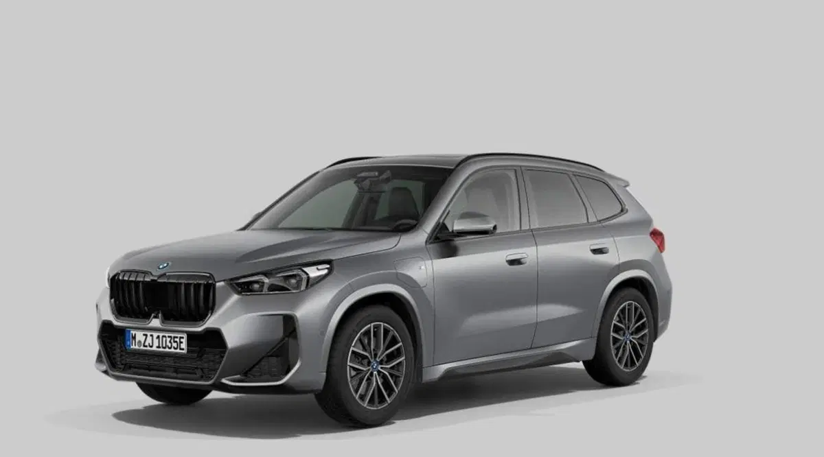 BMW X1 usata a Torino