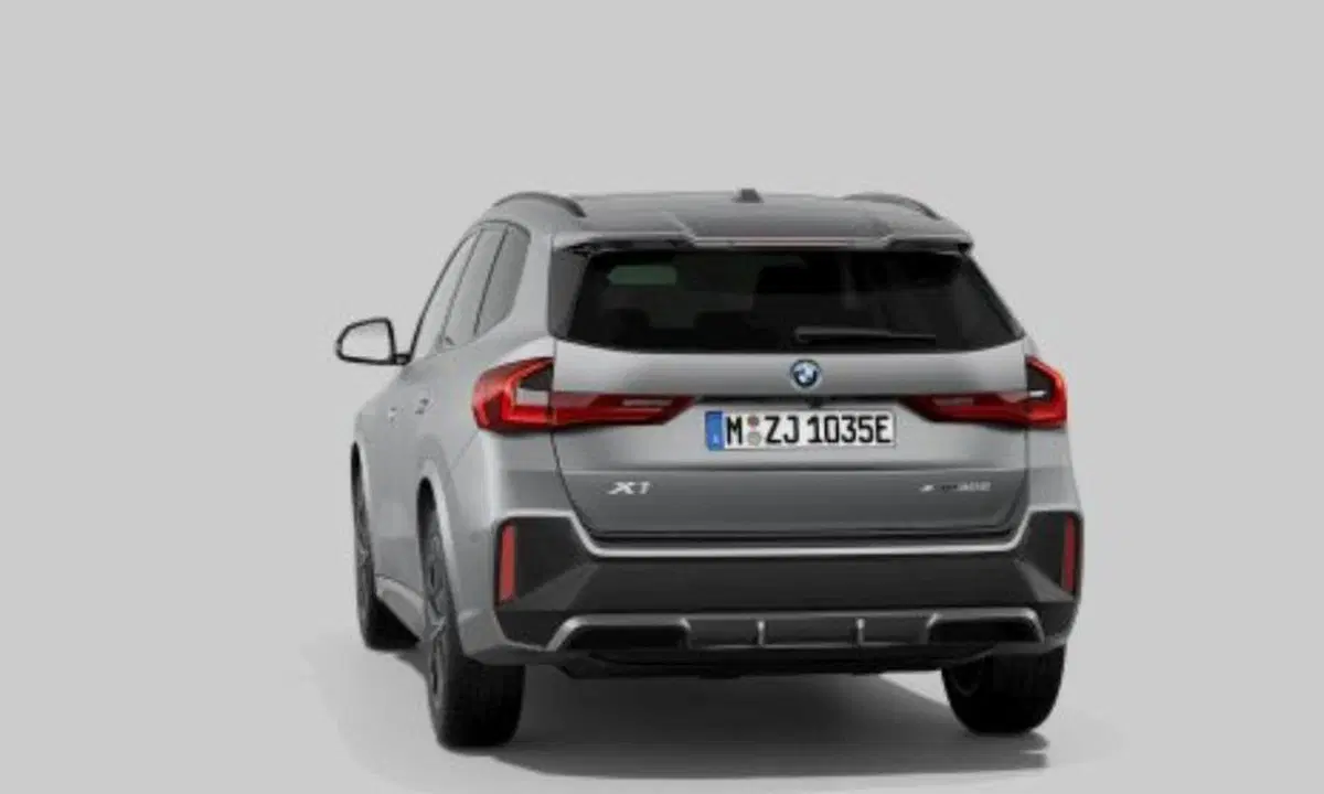 BMW X1 usata a Torino (2)