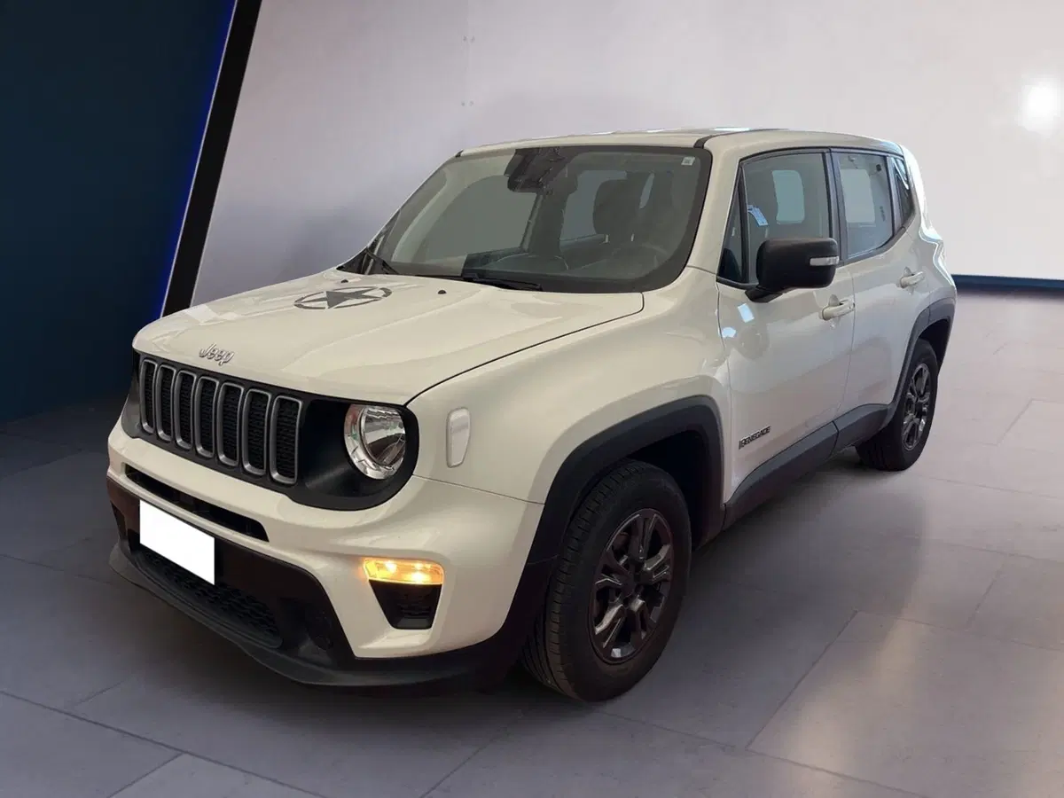 Jeep Renegade usata a Torino (2)