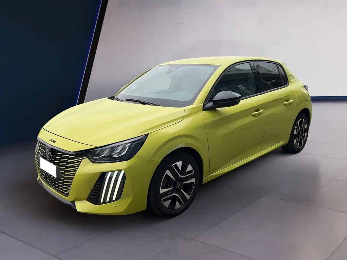Peugeot 208 usata a Torino (2)
