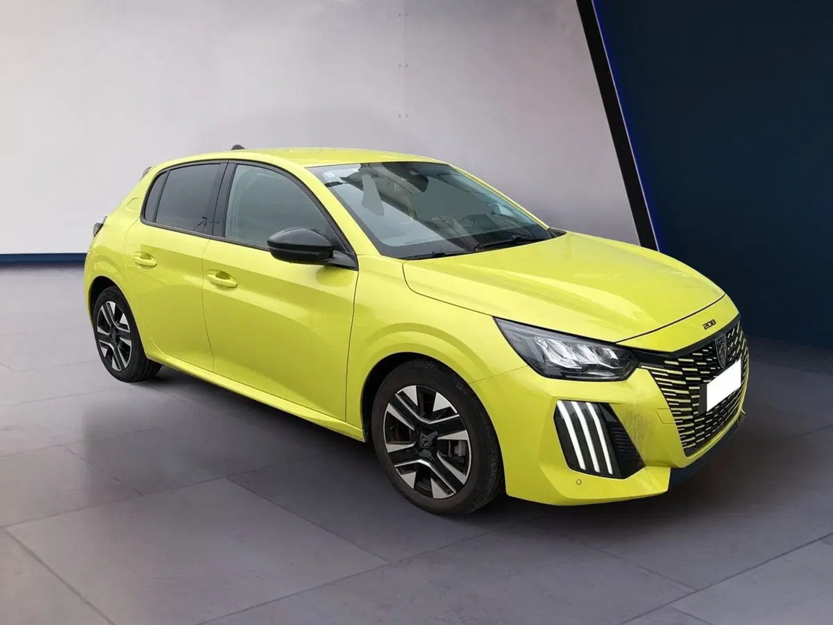 Peugeot 208 usata a Torino (3)