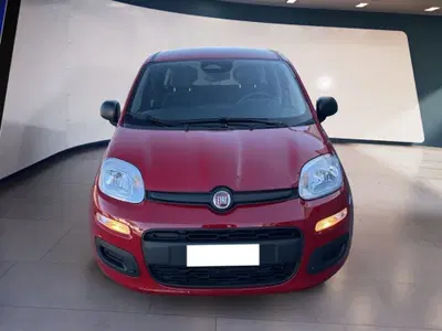 Fiat Pandina 1.0 firefly hybrid s&s 70cv del 2025 usata a Torino