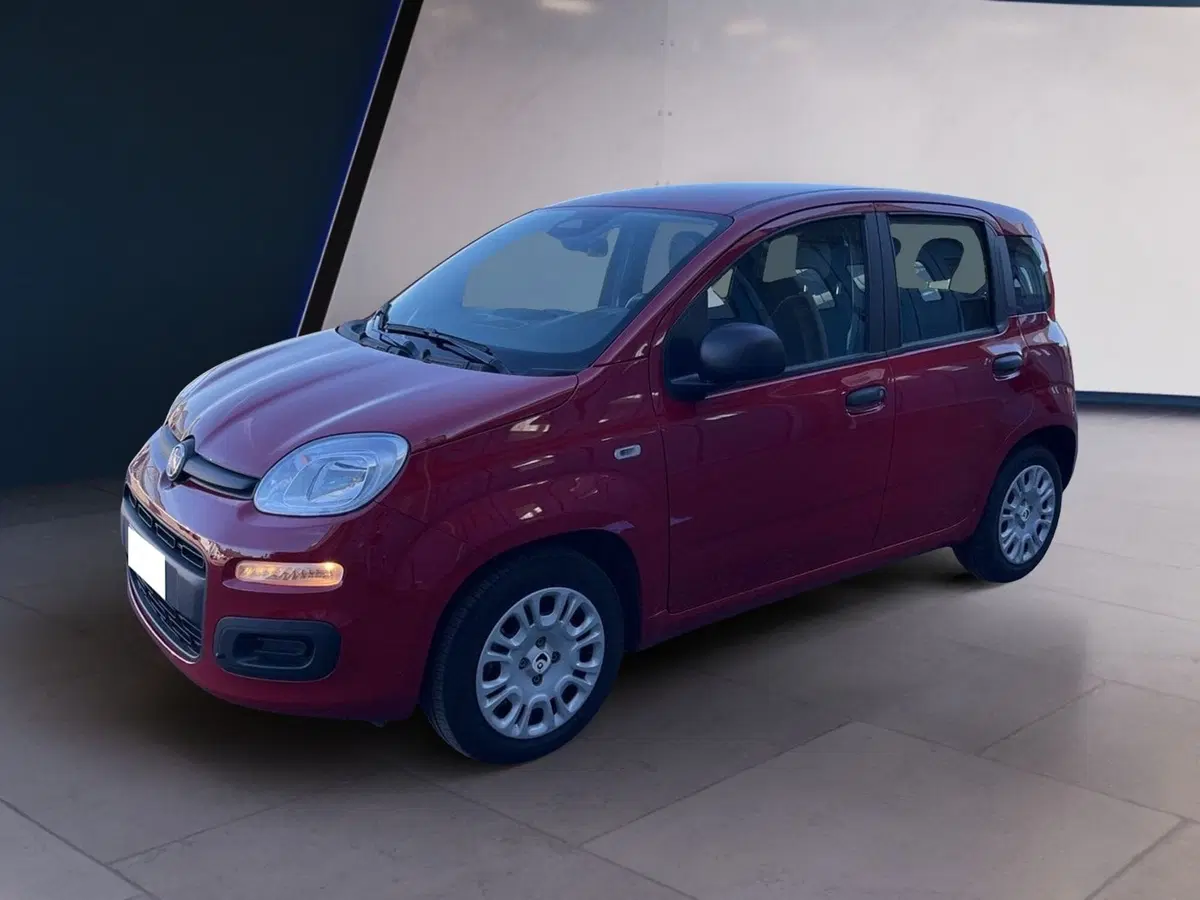 Fiat Pandina usata a Torino (2)