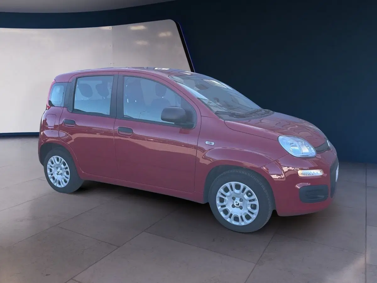 Fiat Pandina usata a Torino (3)