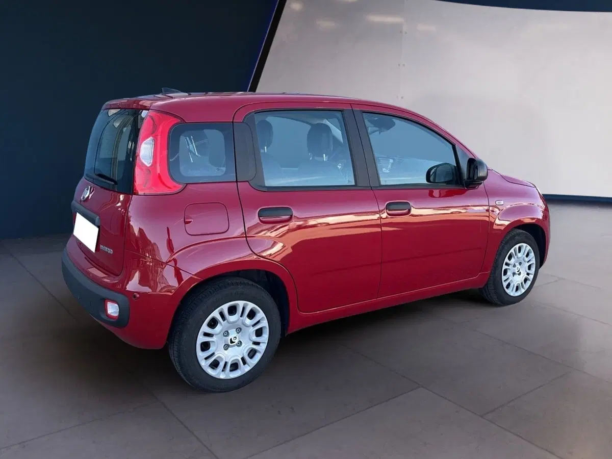 Fiat Pandina usata a Torino (4)