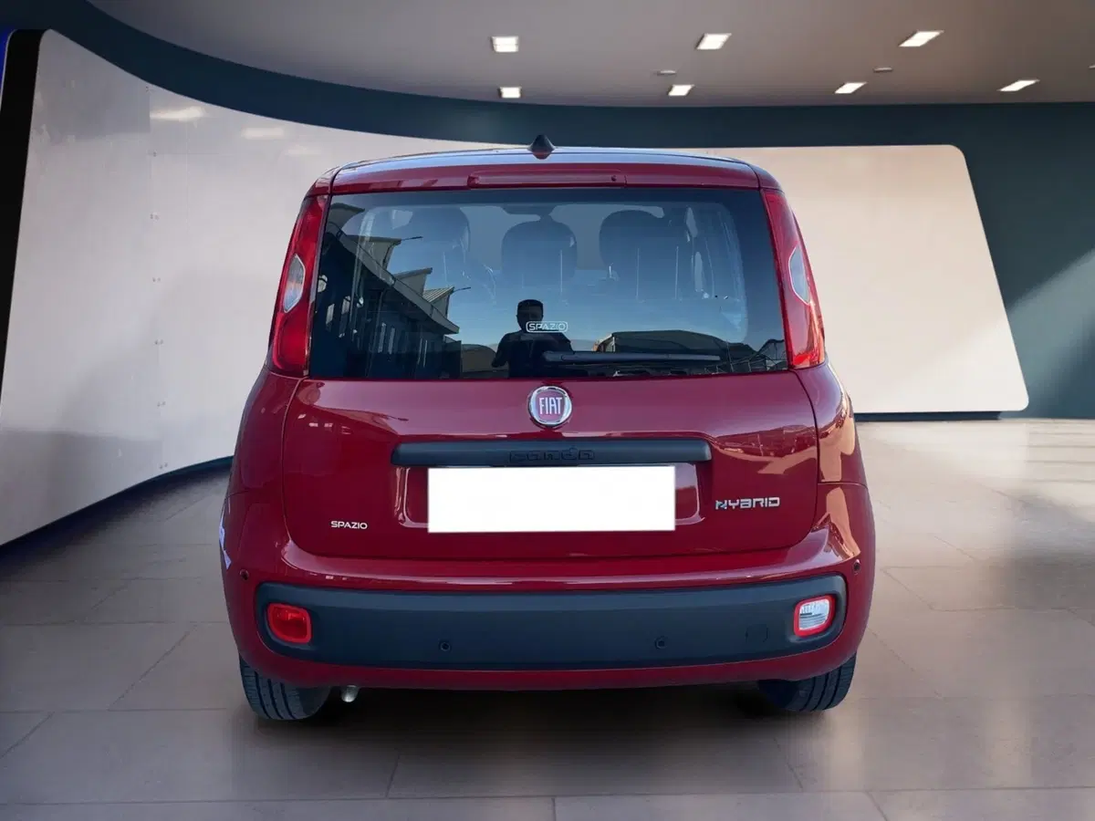 Fiat Pandina usata a Torino (5)