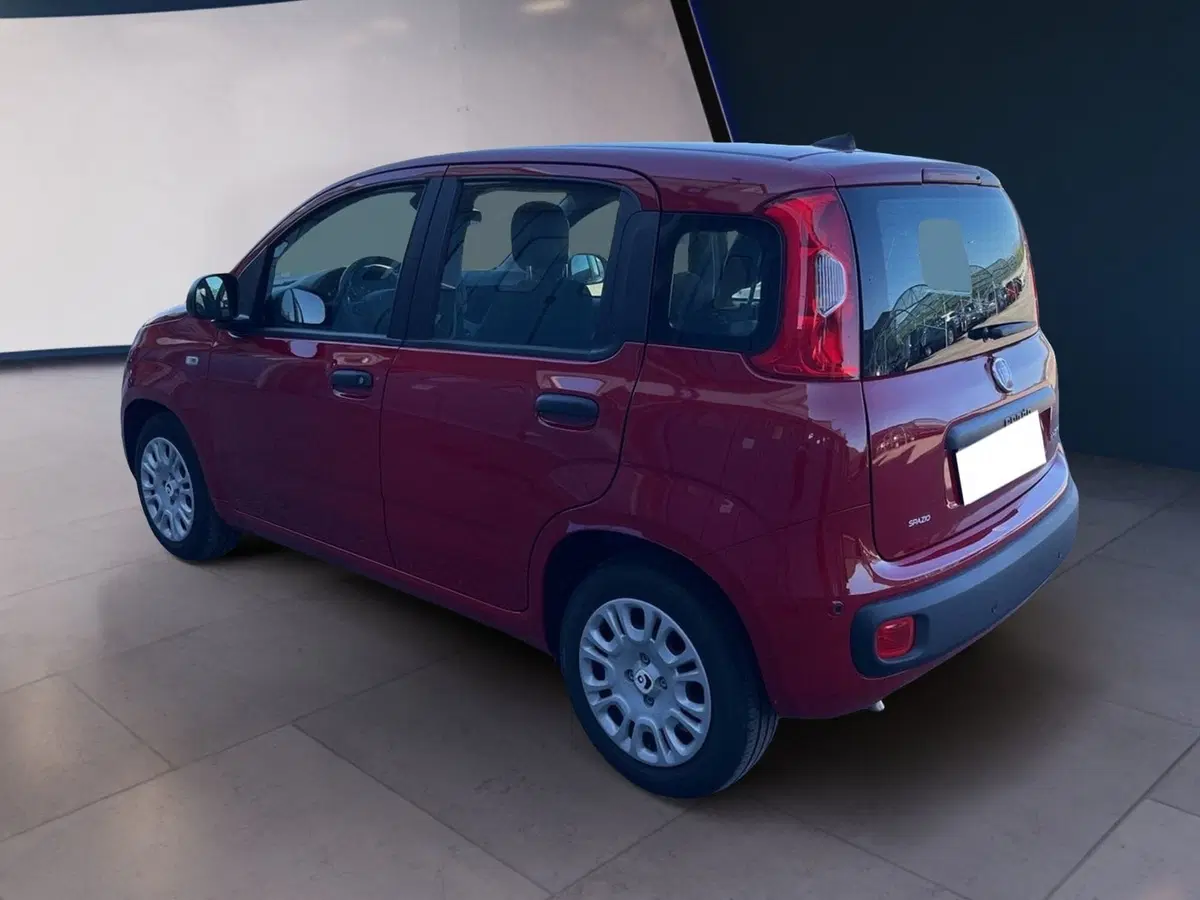 Fiat Pandina usata a Torino (6)