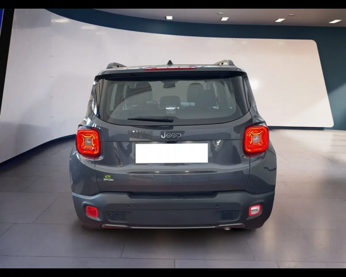 Jeep Renegade usata a Torino (11)