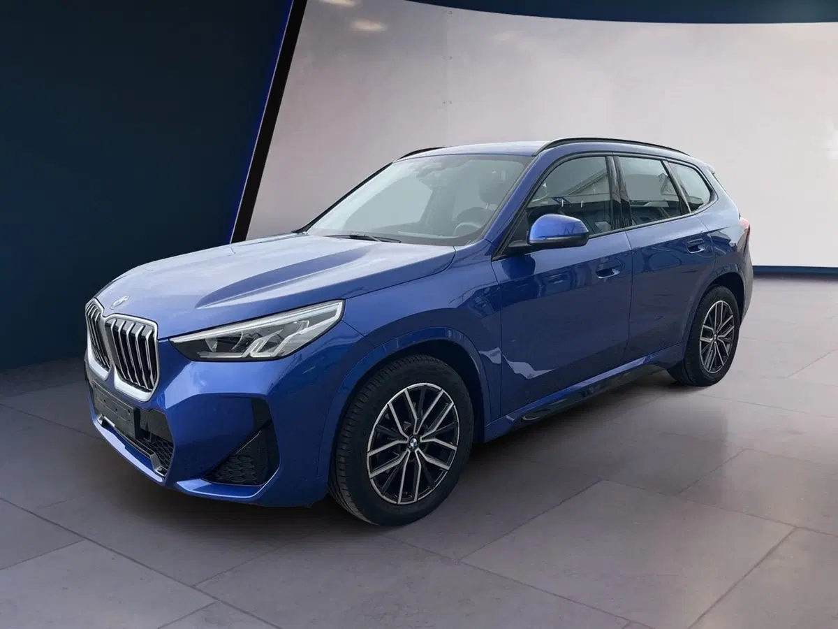 BMW X1 usata a Torino (2)