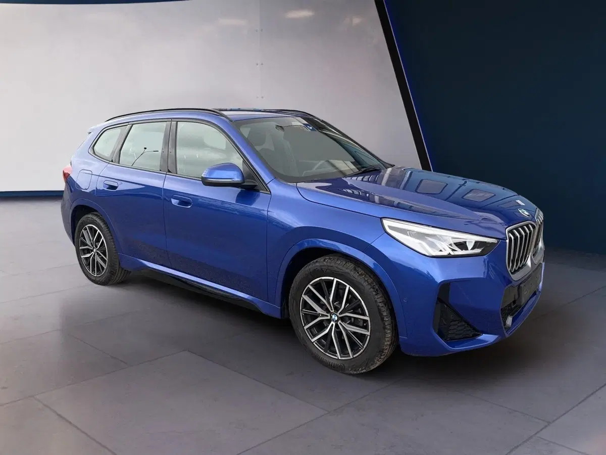 BMW X1 usata a Torino (3)