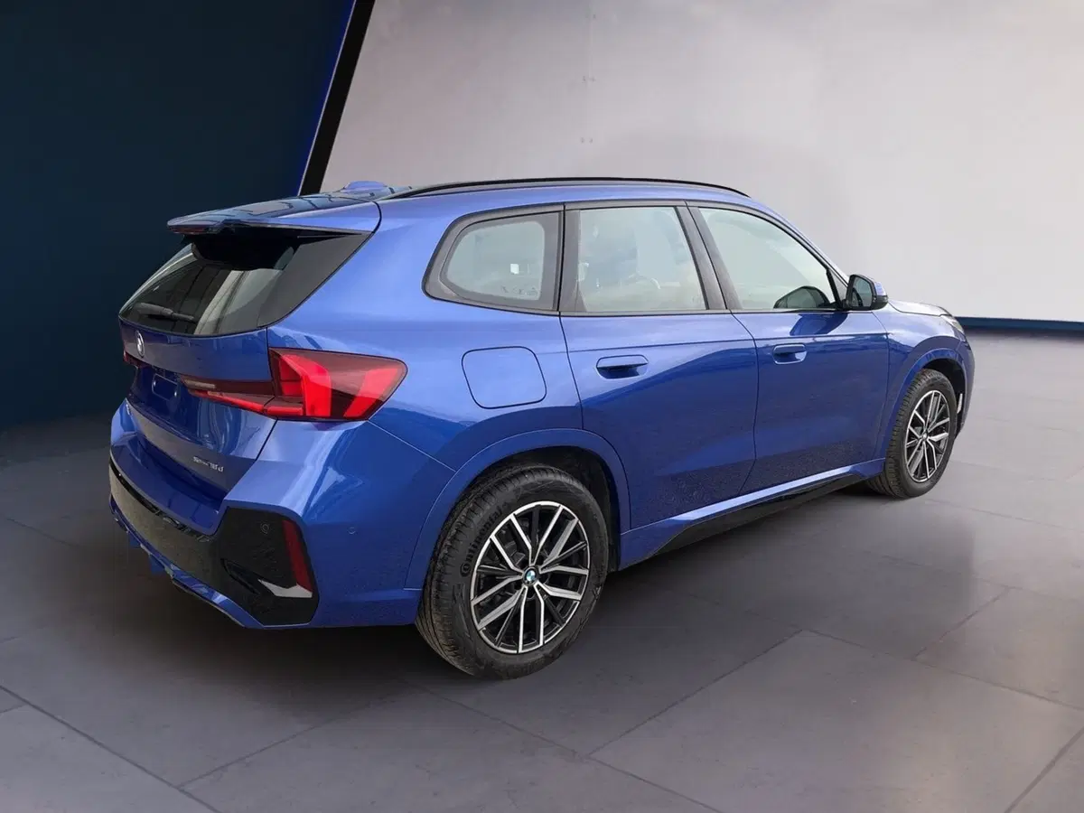 BMW X1 usata a Torino (4)
