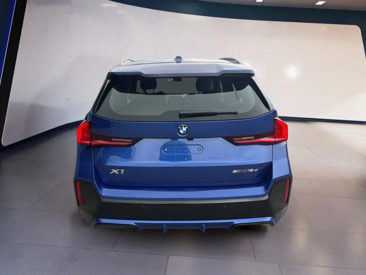 BMW X1 usata a Torino (5)