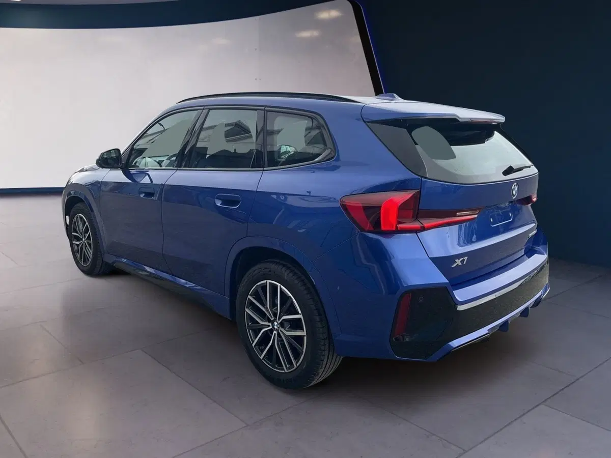 BMW X1 usata a Torino (6)