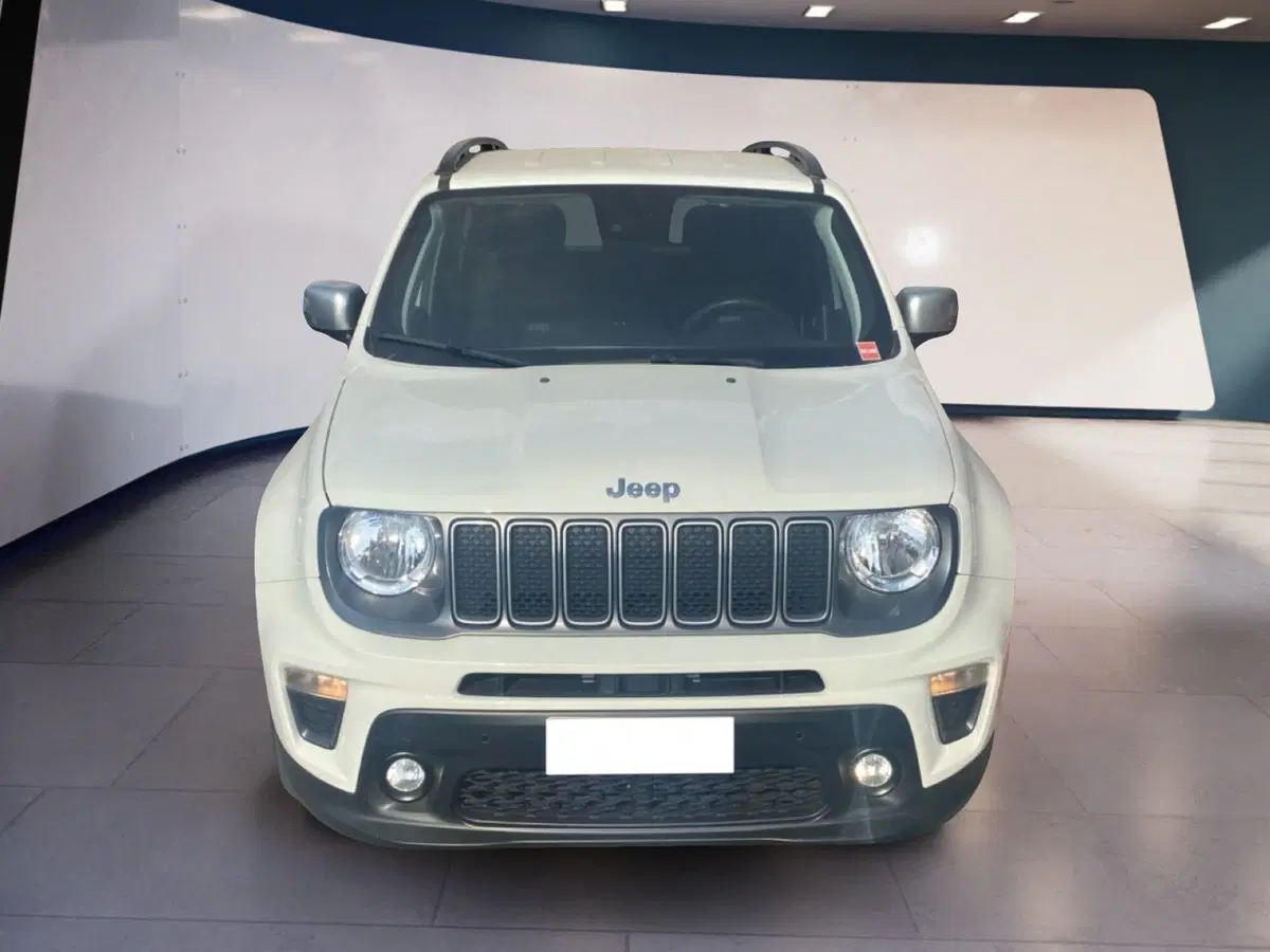 Jeep Renegade usata a Torino