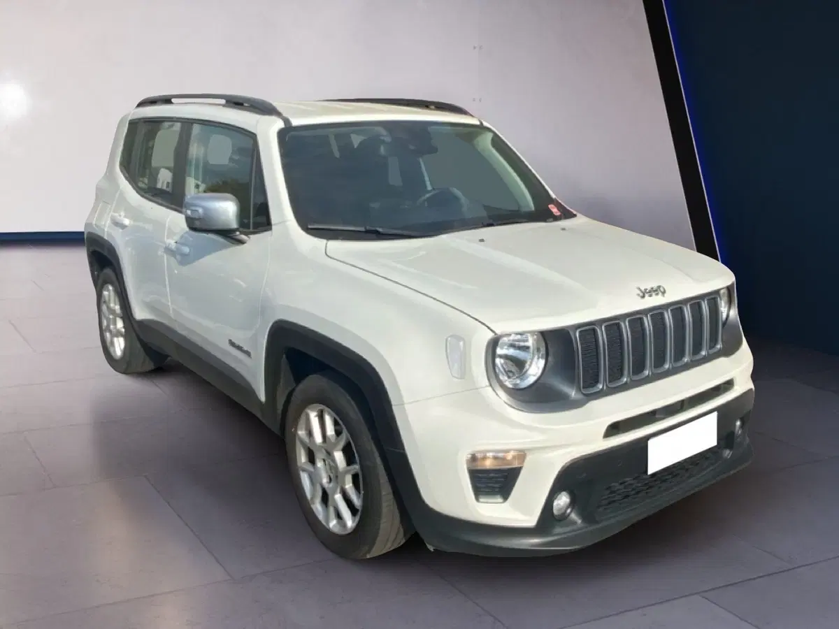 Jeep Renegade usata a Torino (6)