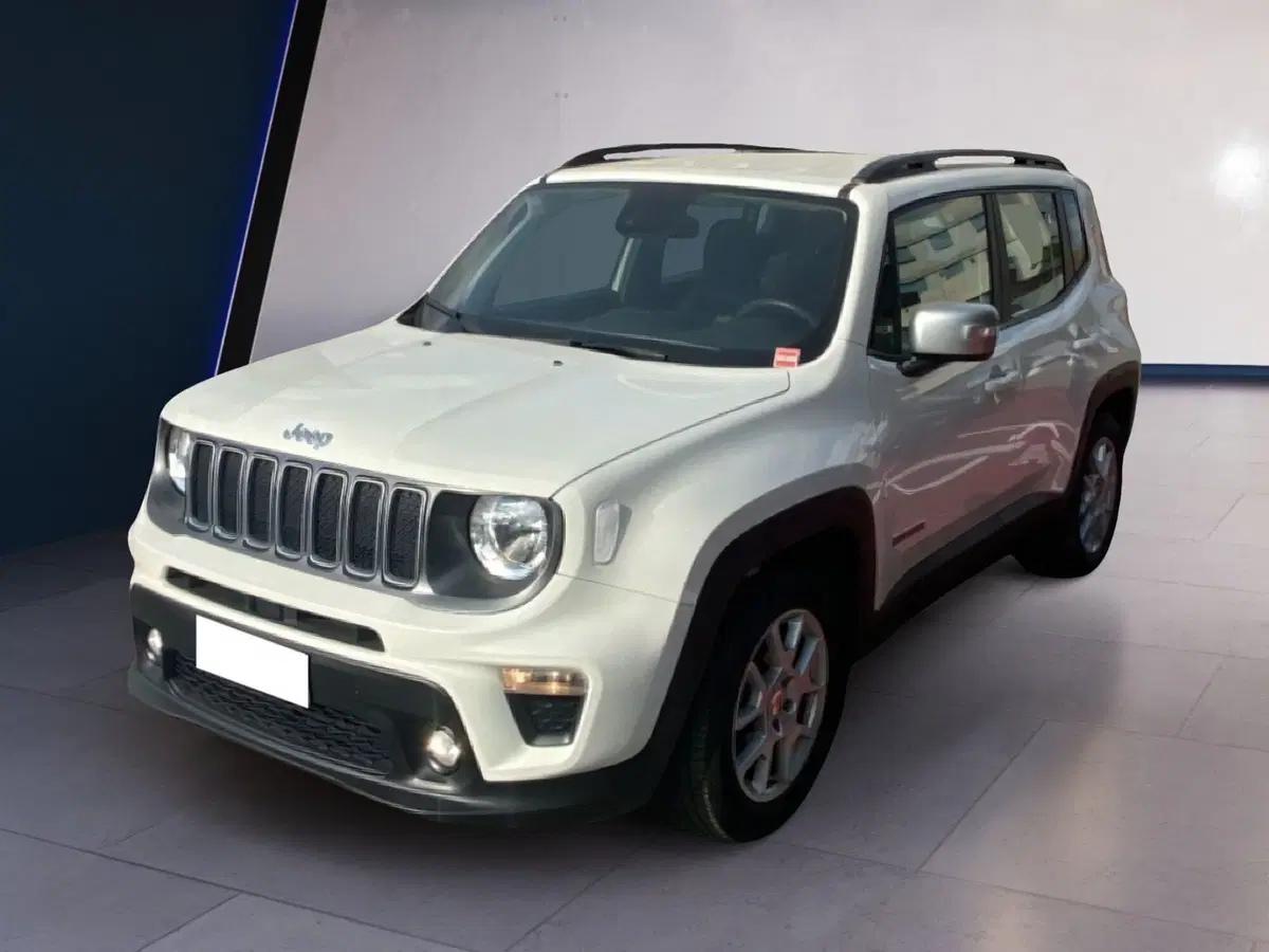 Jeep Renegade usata a Torino (7)