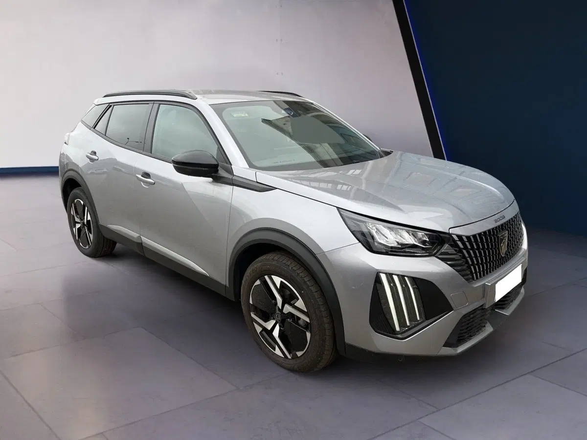 Peugeot 2008 usata a Torino (2)