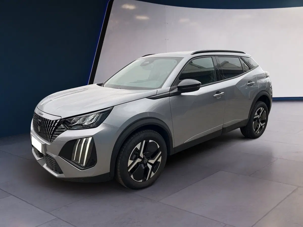 Peugeot 2008 usata a Torino (3)