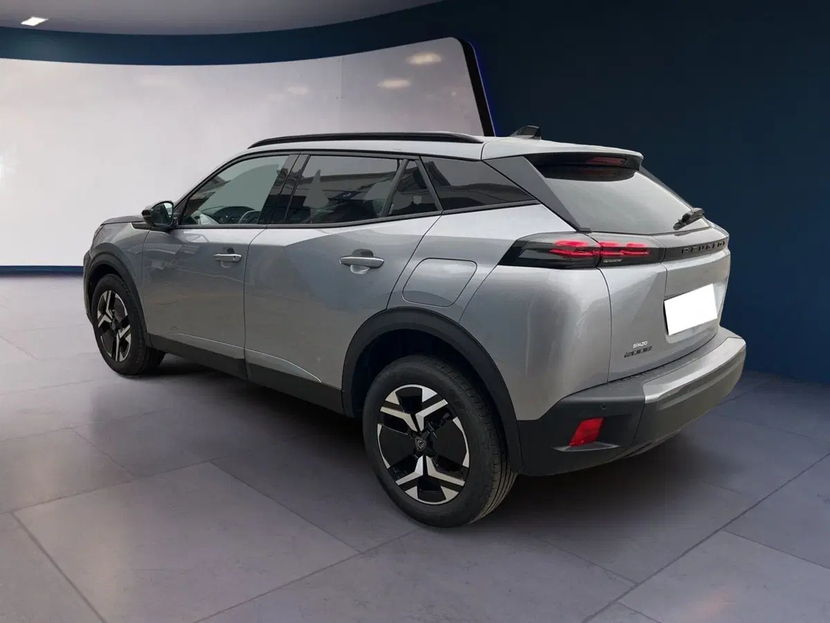 Peugeot 2008 usata a Torino (4)