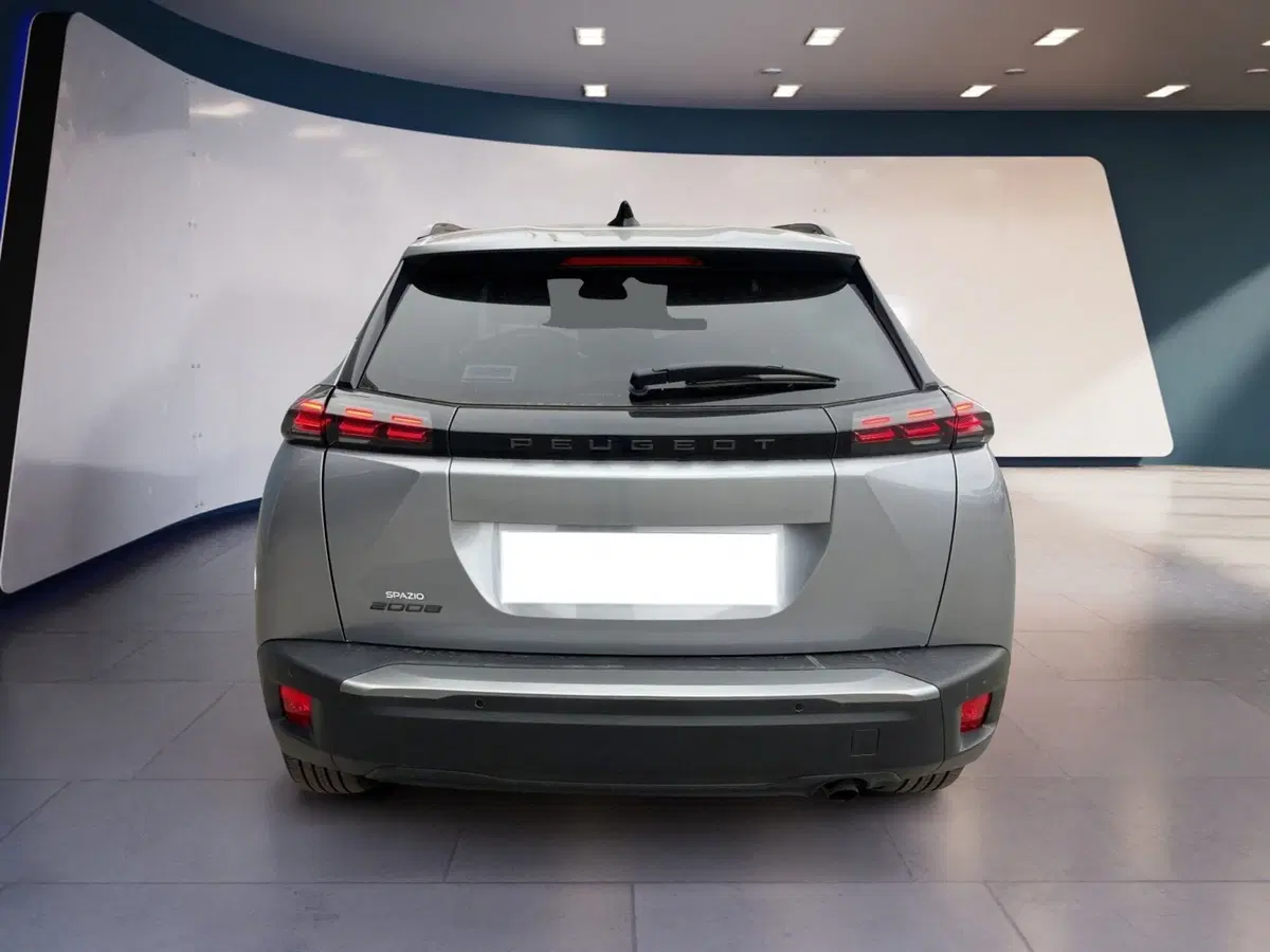 Peugeot 2008 usata a Torino (5)