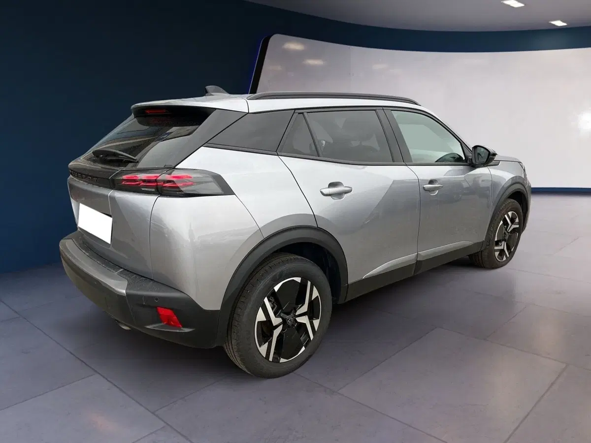 Peugeot 2008 usata a Torino (6)