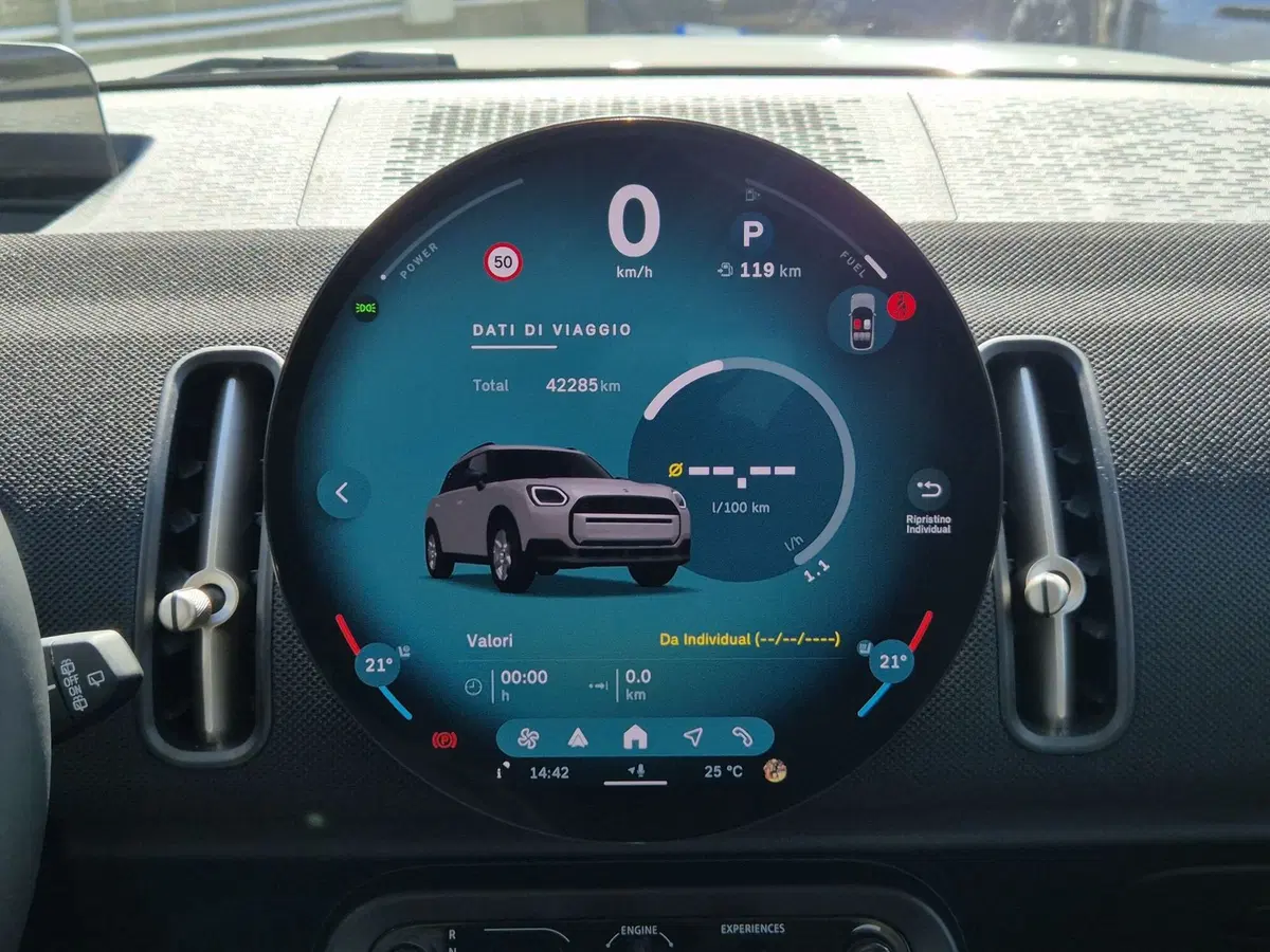MINI Mini Countryman usata  (14)