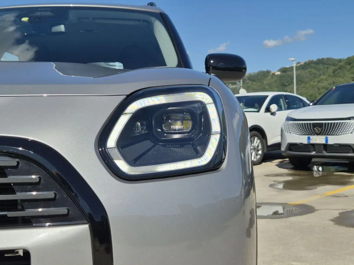MINI Mini Countryman usata  (18)