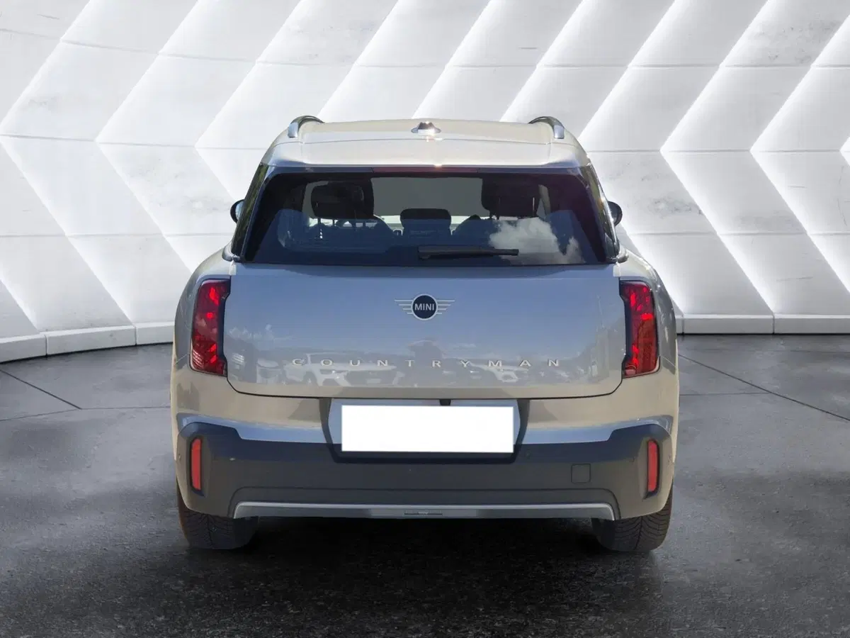MINI Mini Countryman usata  (3)