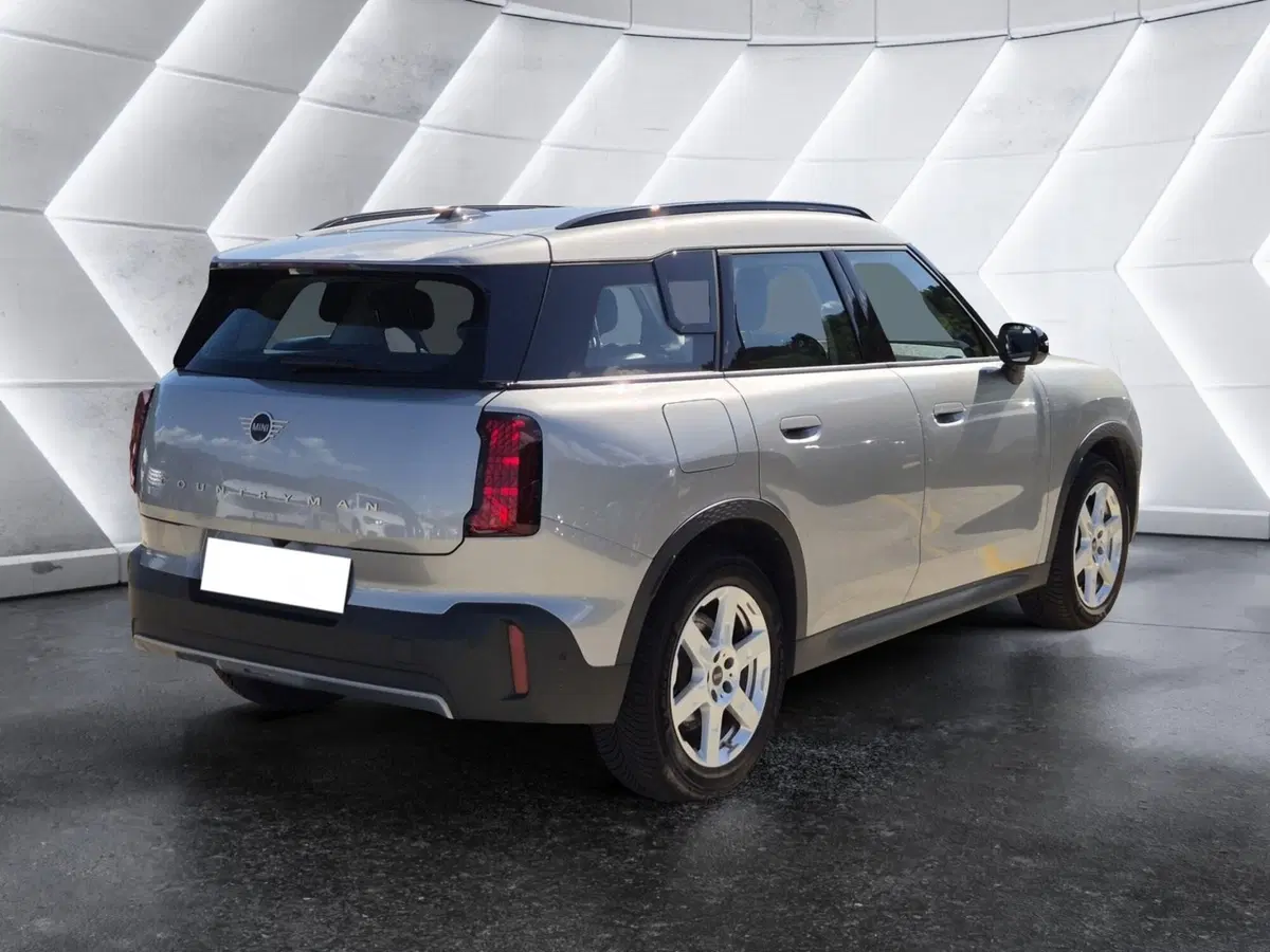 MINI Mini Countryman usata  (4)