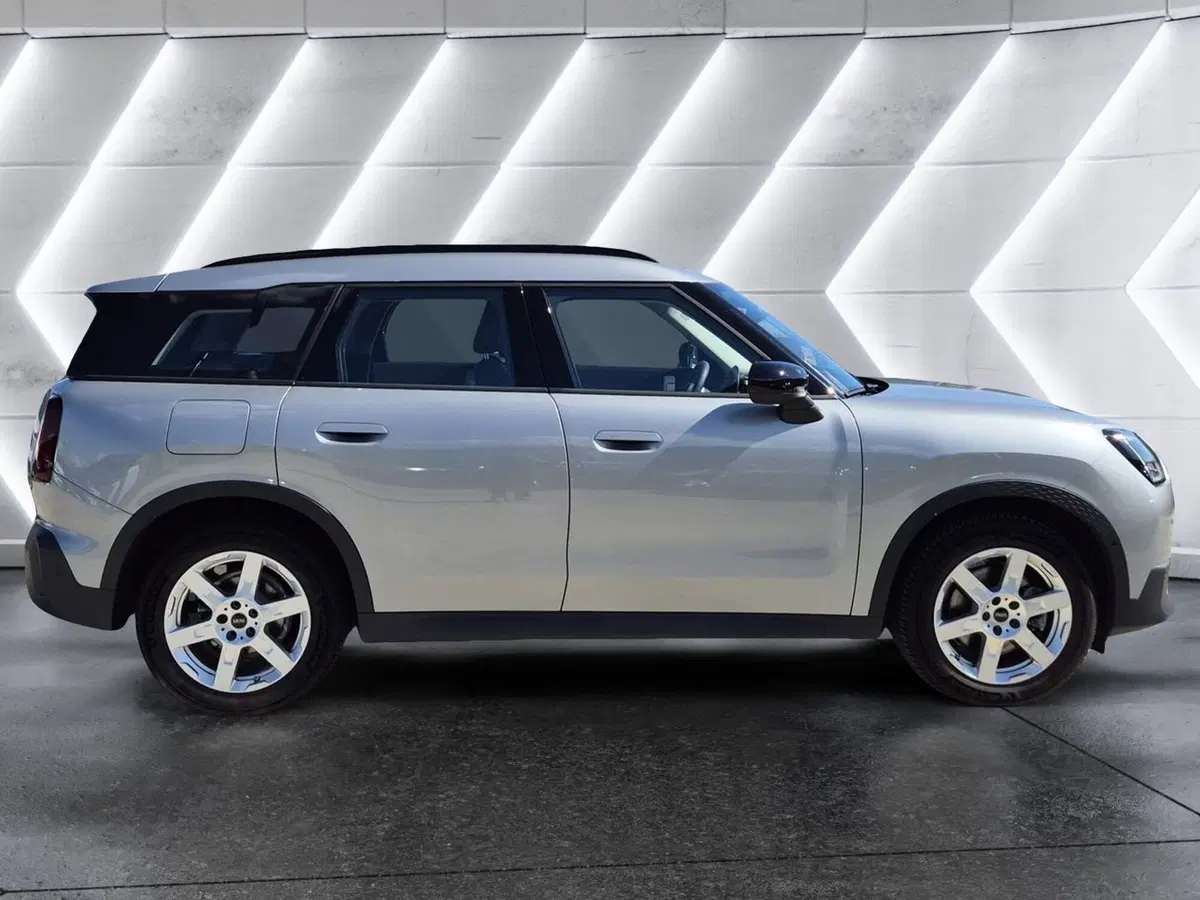MINI Mini Countryman usata  (5)