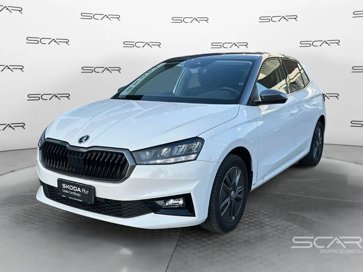 Skoda Fabia usata a Livorno