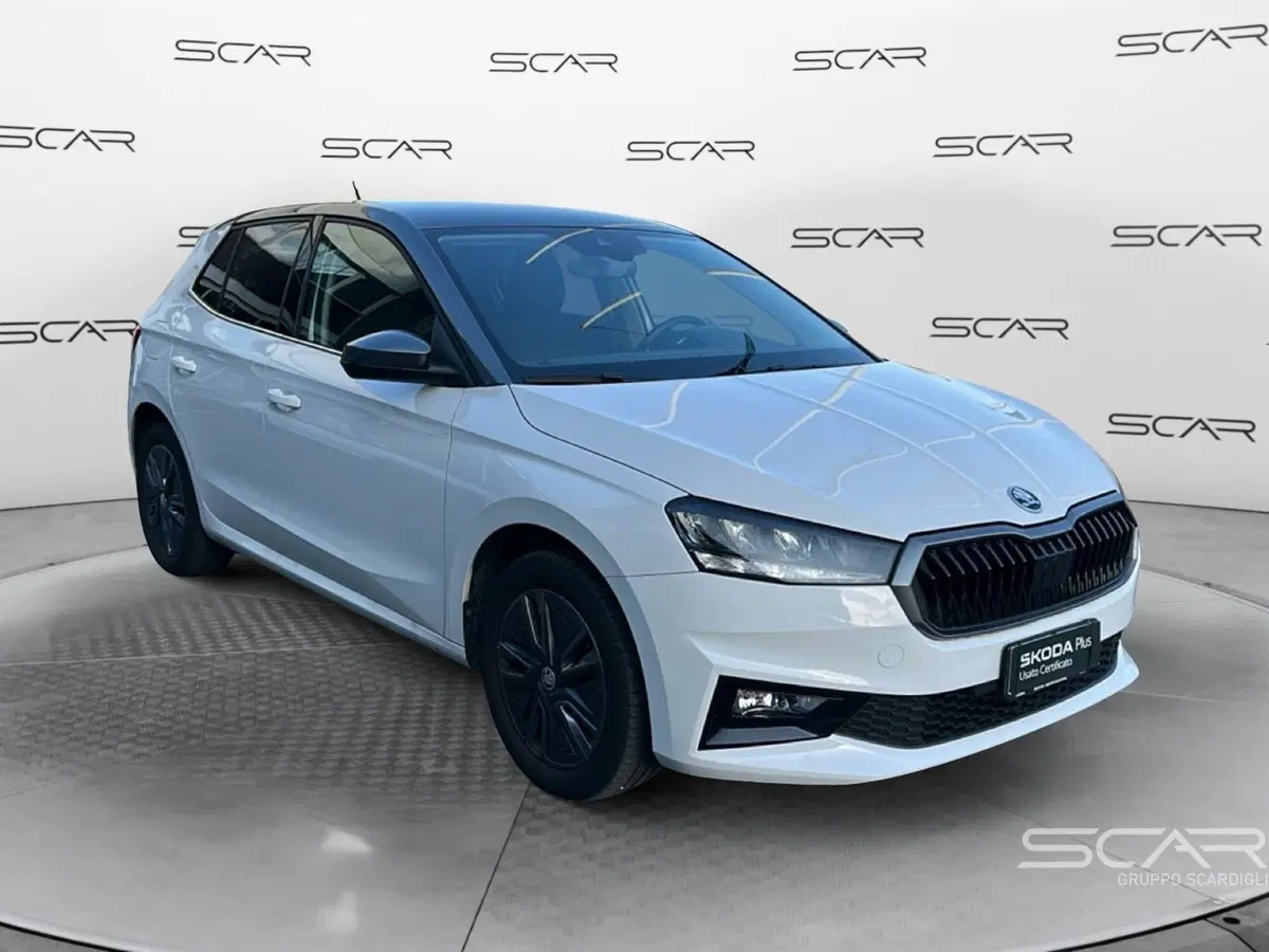 Skoda Fabia usata a Livorno (7)