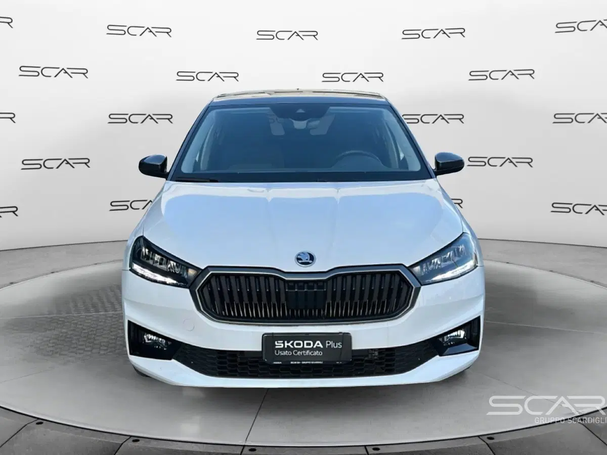 Skoda Fabia usata a Livorno (8)