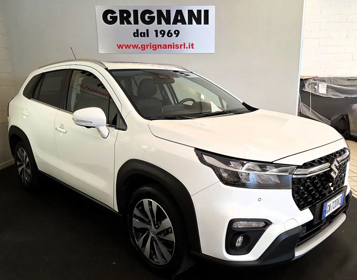 Suzuki S-Cross usata a Pavia