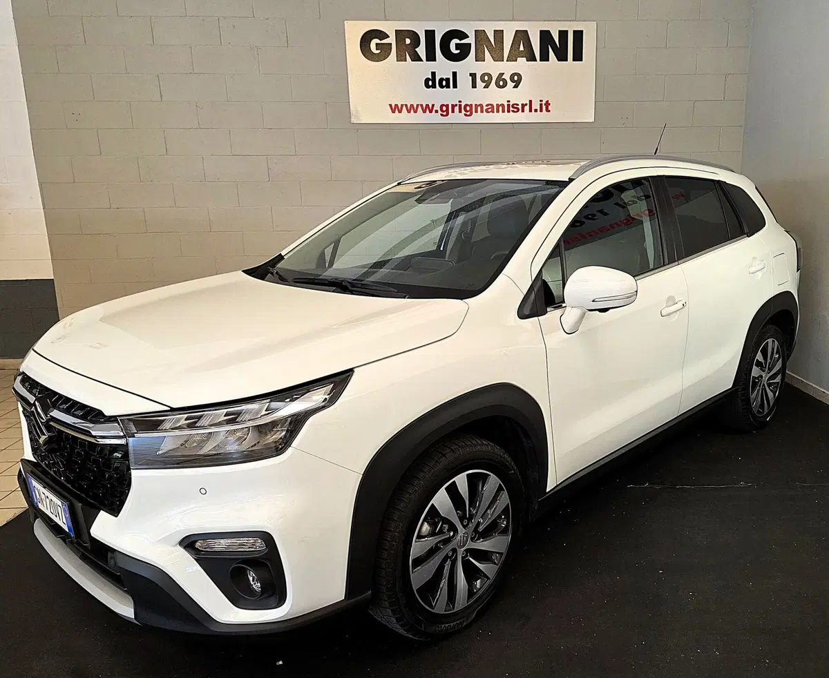 Suzuki S-Cross usata a Pavia (2)