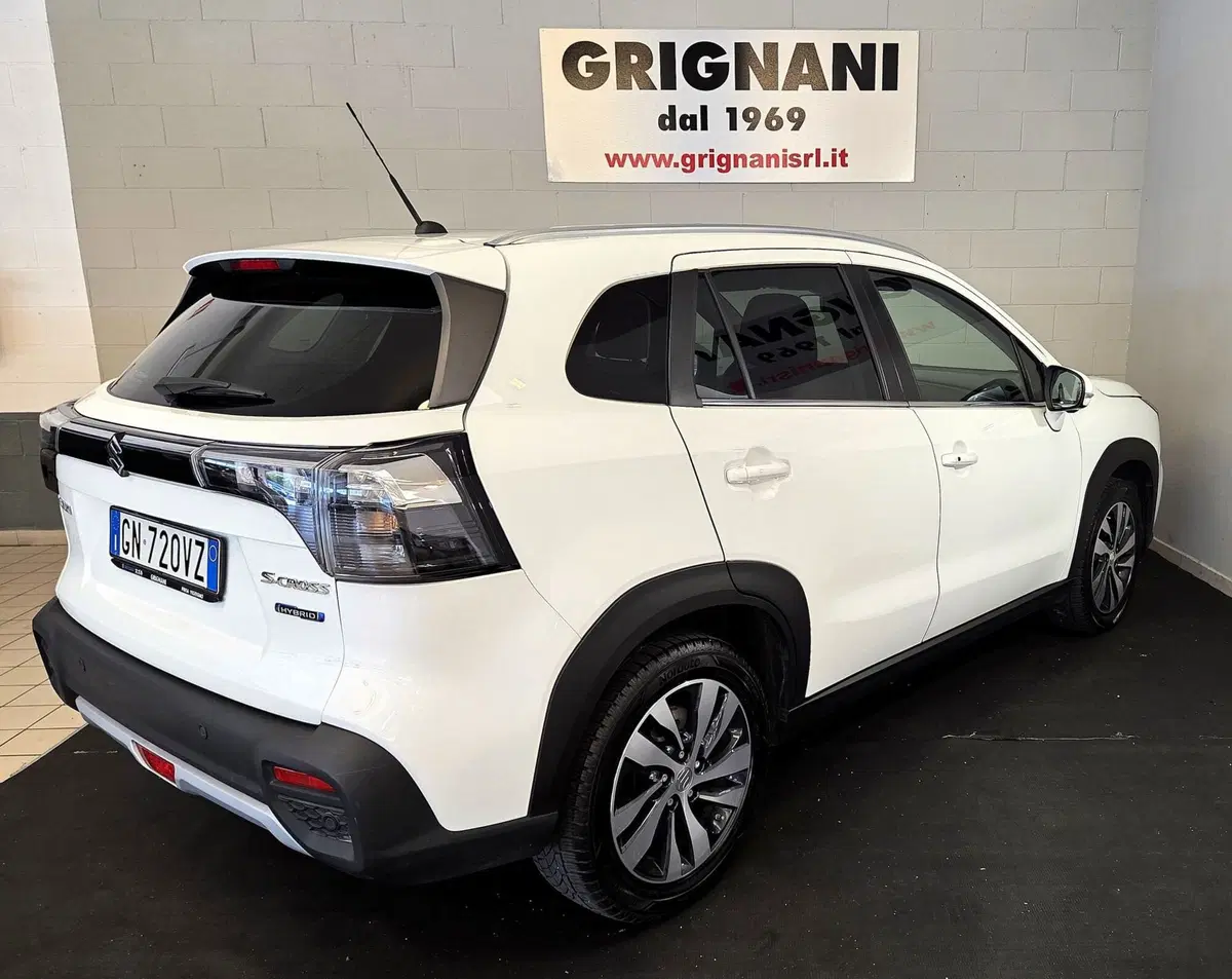 Suzuki S-Cross usata a Pavia (3)