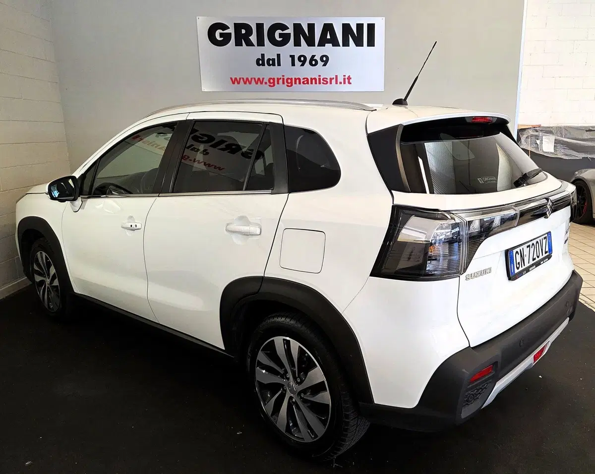 Suzuki S-Cross usata a Pavia (4)
