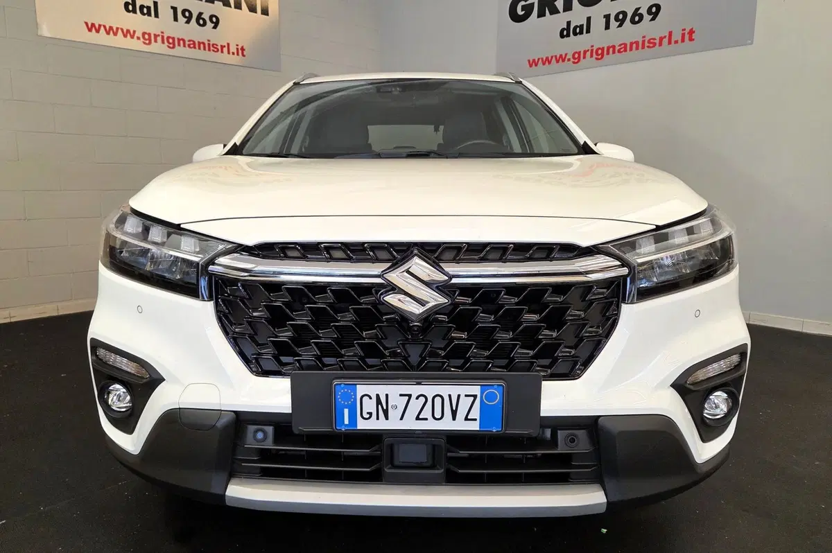 Suzuki S-Cross usata a Pavia (5)