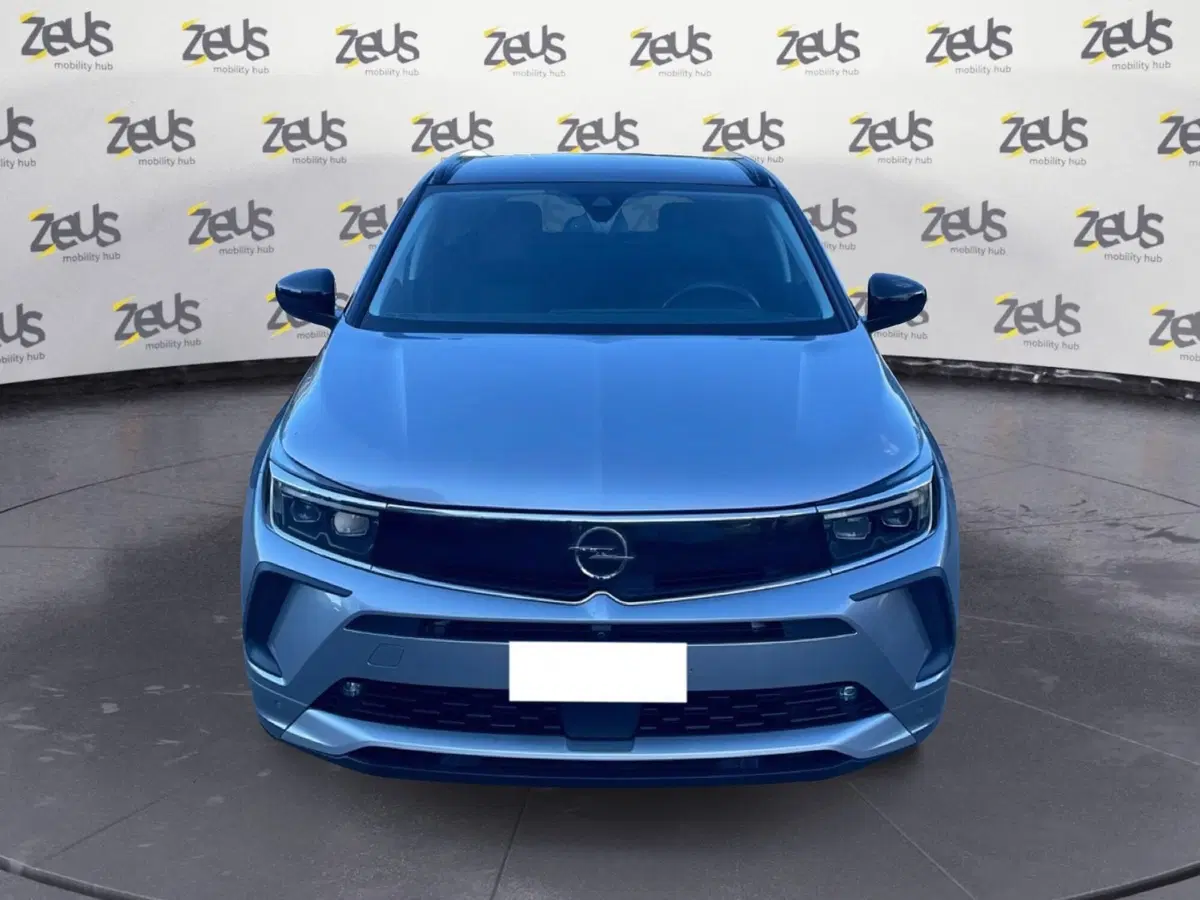 Opel Grandland usata a Ravenna (2)