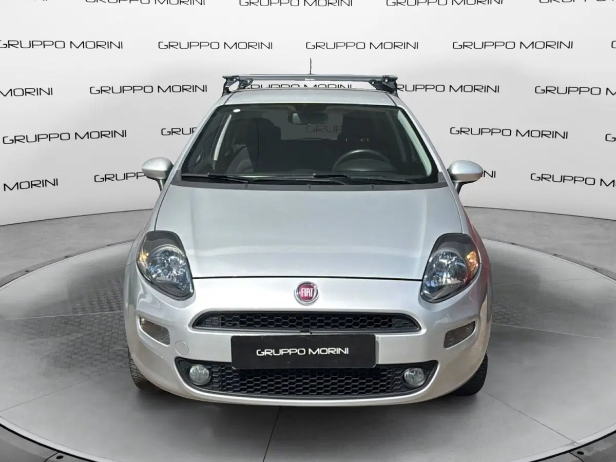 Fiat Punto usata a Bologna