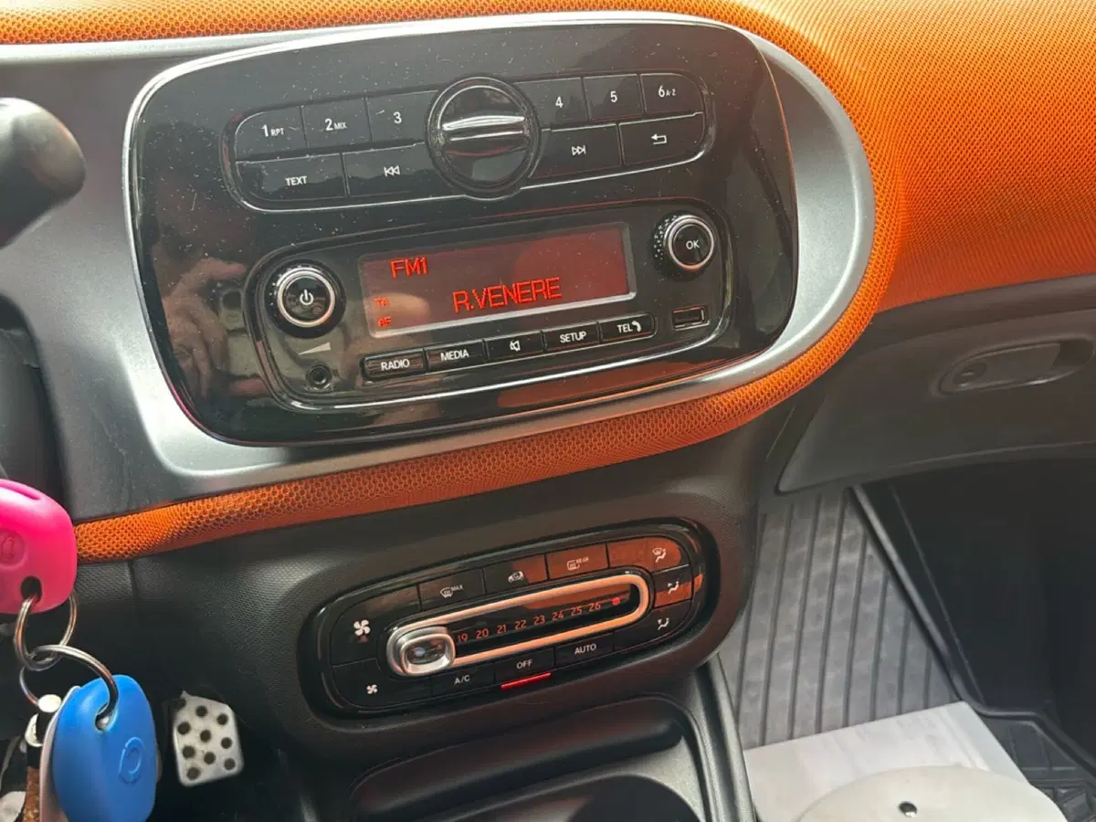 smart Fortwo usata a Bologna (10)