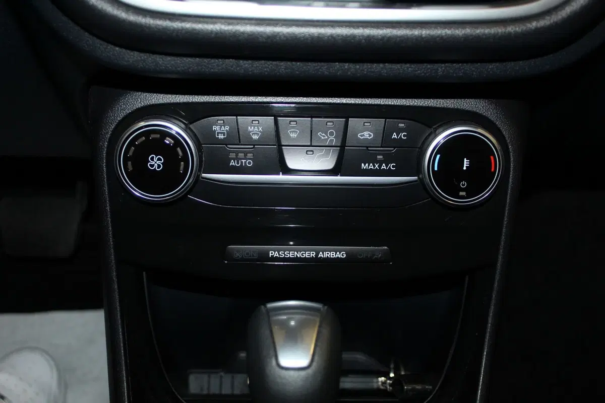 Ford Puma usata a Cremona (11)