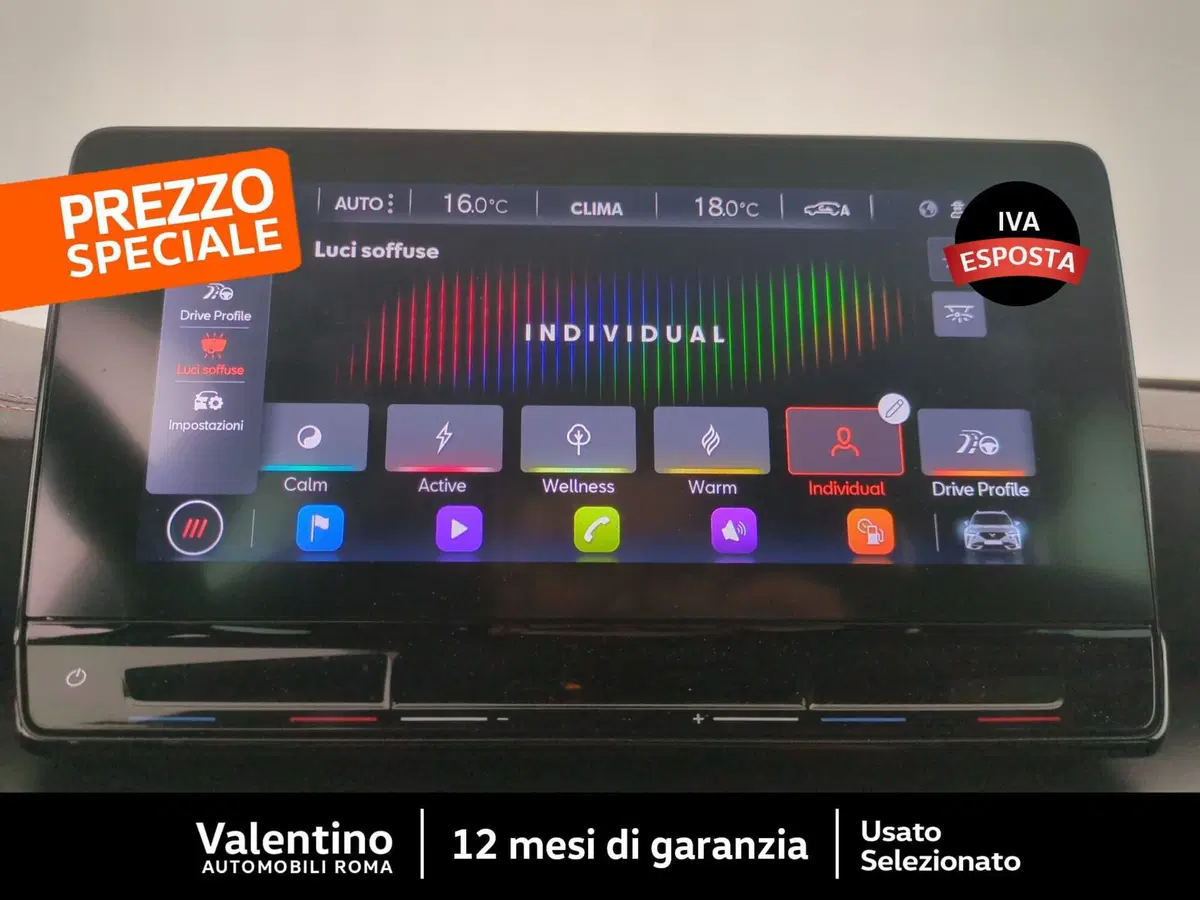 Cupra Formentor usata a Roma (20)