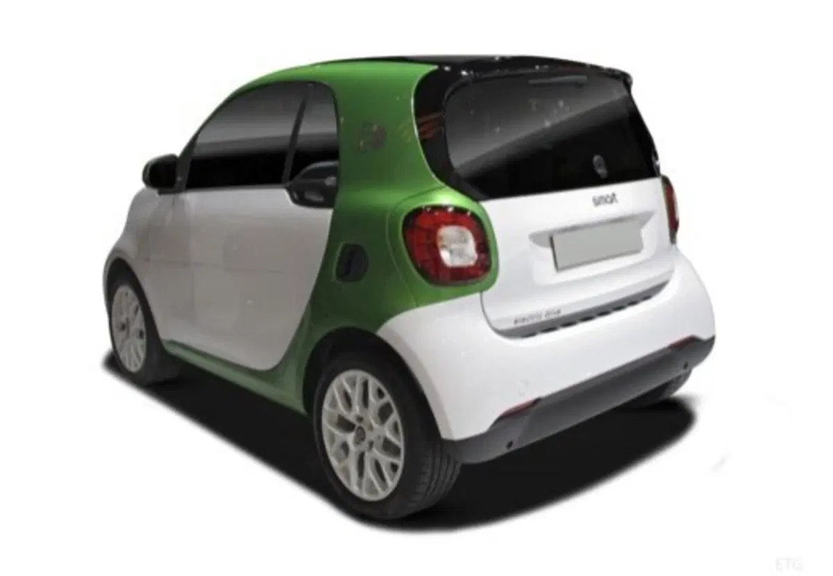 smart Fortwo usata a Rimini (6)