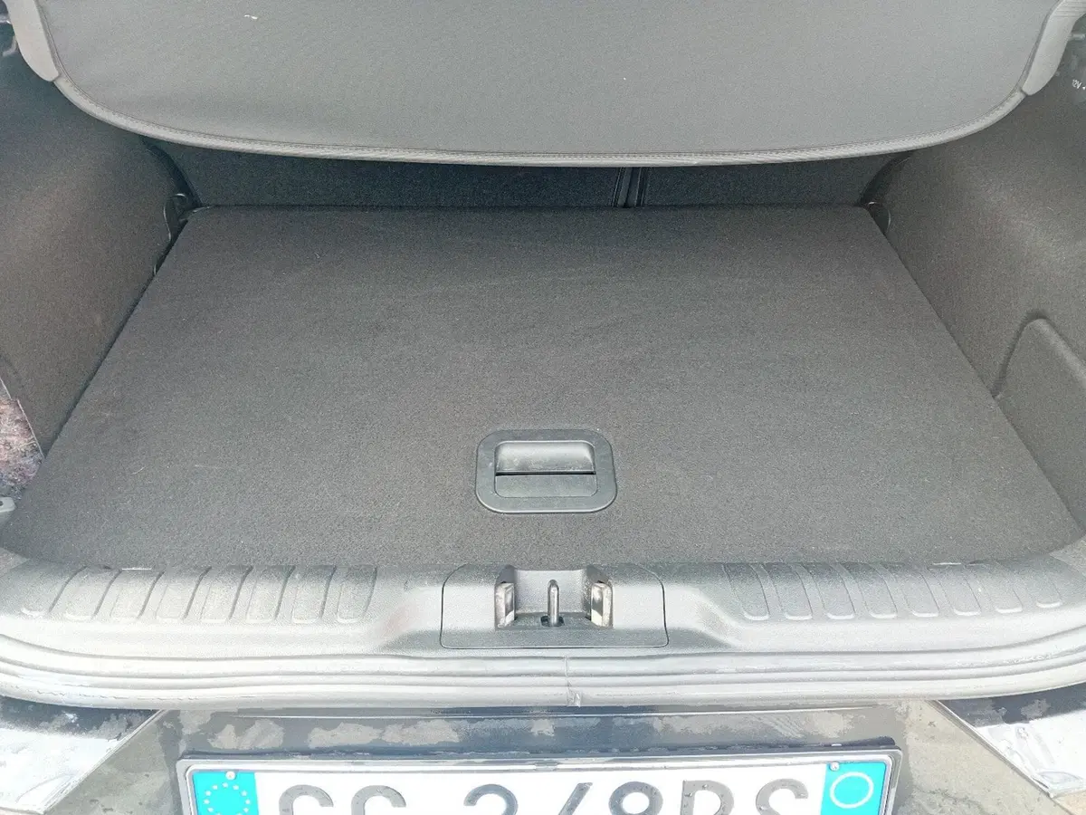 Ford Puma usata a Pordenone (10)