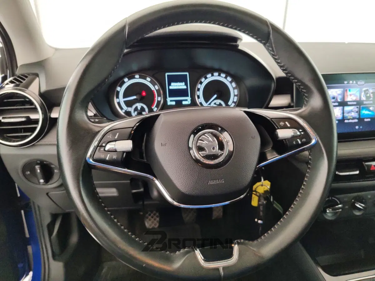Skoda Fabia usata a Massa-Carrara (15)